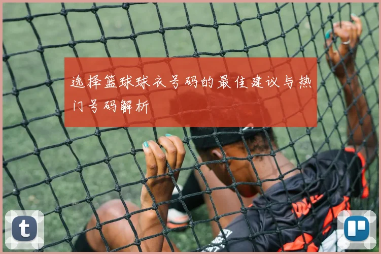 选择篮球球衣号码的最佳建议与热门号码解析