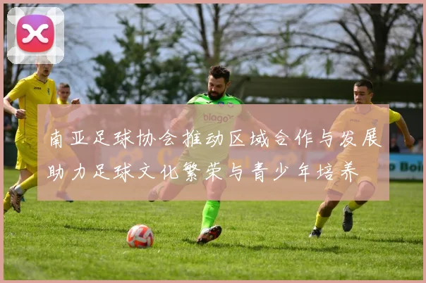 南亚足球协会推动区域合作与发展助力足球文化繁荣与青少年培养