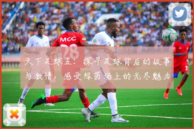 天下足球五：探寻足球背后的故事与激情，感受绿茵场上的无尽魅力与梦想