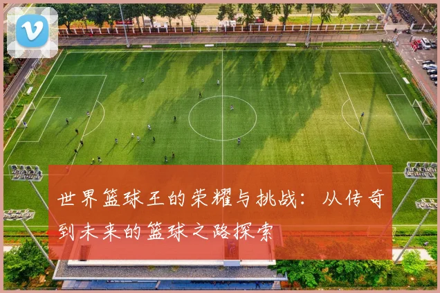 世界篮球王的荣耀与挑战：从传奇到未来的篮球之路探索