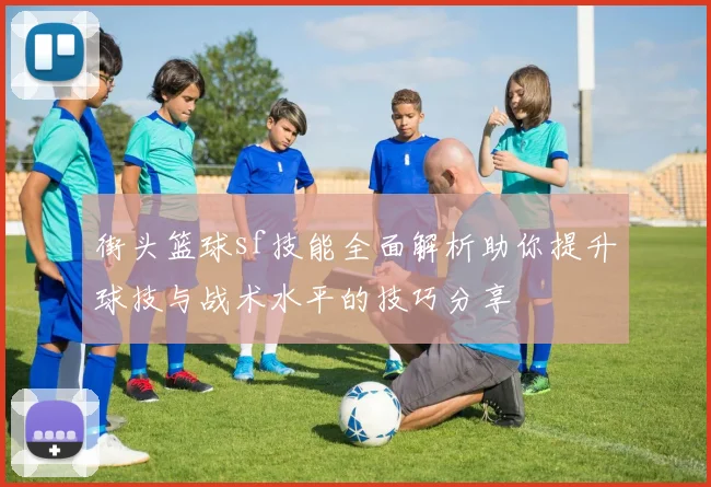 街头篮球sf技能全面解析助你提升球技与战术水平的技巧分享
